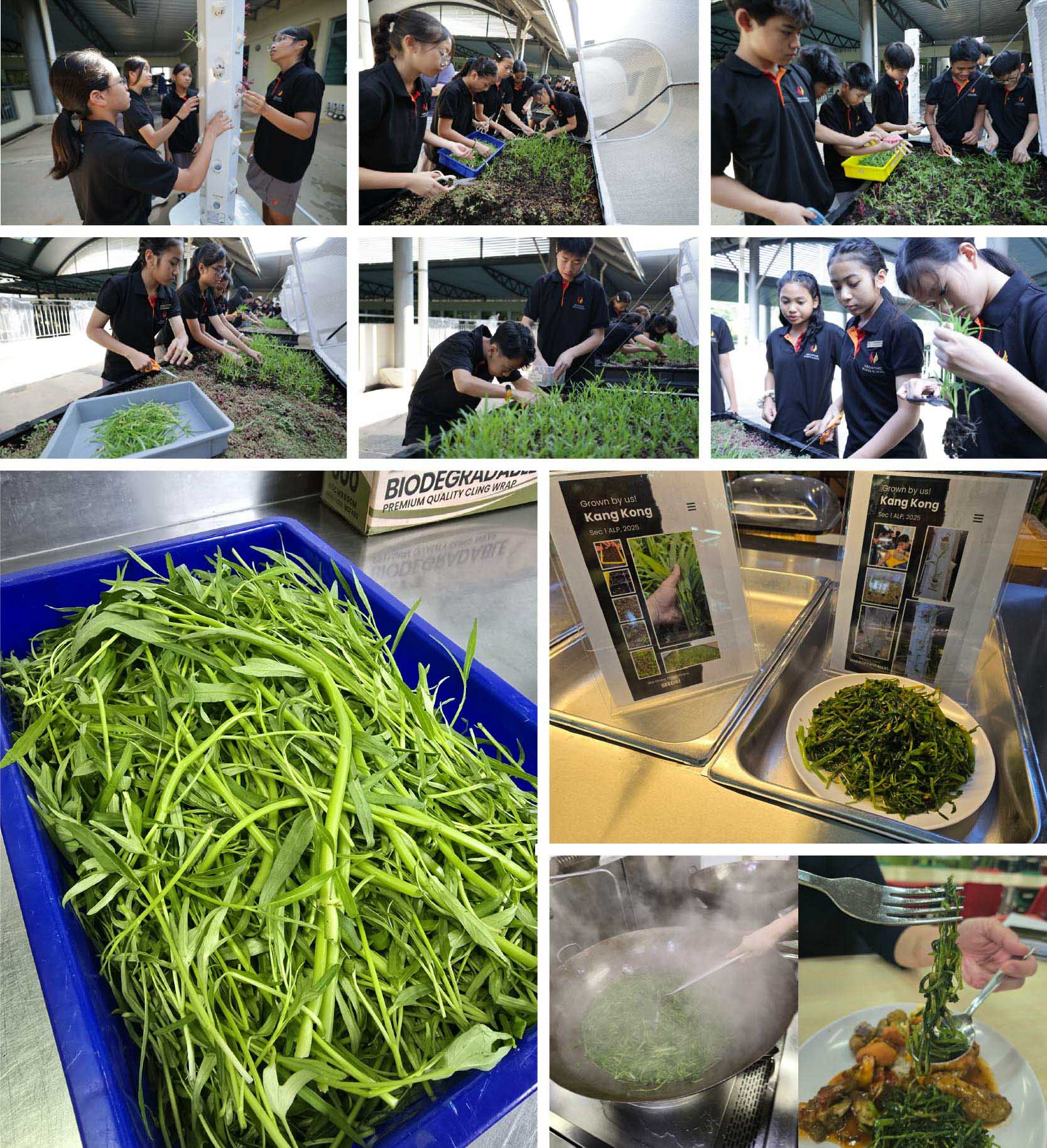 earth day-03.jpg